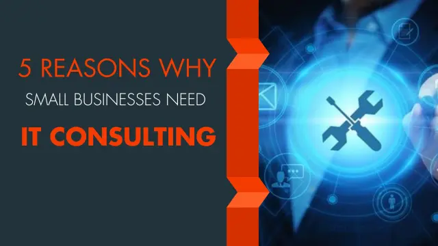 Why Small Businesses Need IT Consulting