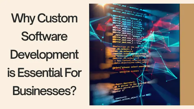 Custom Software Development